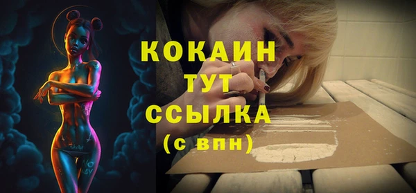ГАЛЛЮЦИНОГЕННЫЕ ГРИБЫ Богданович