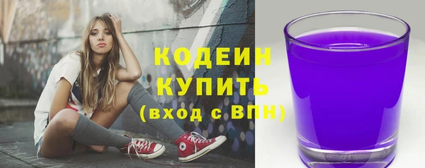 ГАЛЛЮЦИНОГЕННЫЕ ГРИБЫ Богданович