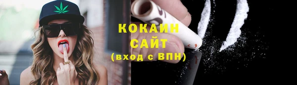 ГАЛЛЮЦИНОГЕННЫЕ ГРИБЫ Богданович