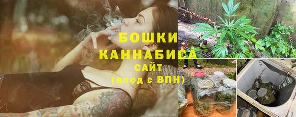 ГАЛЛЮЦИНОГЕННЫЕ ГРИБЫ Богданович