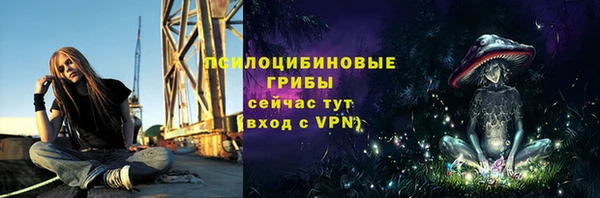 ГАЛЛЮЦИНОГЕННЫЕ ГРИБЫ Богданович